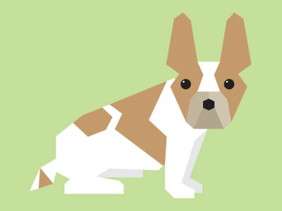 Dexter dexter dog french bulldog frenchie geometric green tan white