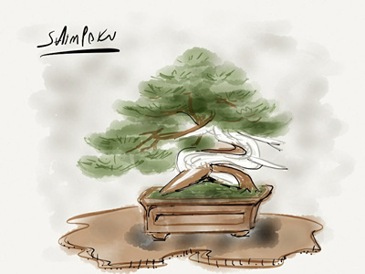 Shimpaku bonsai ipad painting paper