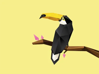 Toucan africa bird cubic toucan