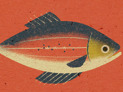 Here Fishy fishy animal fish illustration pattern