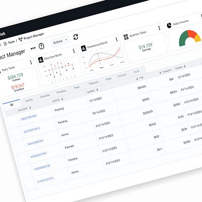 Project Manager Dashboard ui