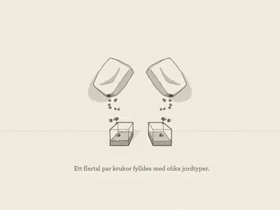 Flowers and dirt dirt flowers hand drawn illustration