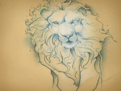 Lion Tat design illustration lion pencil tattoo