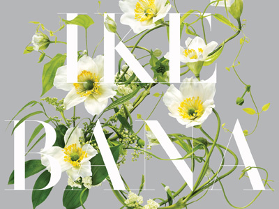 Ikebana elegant floral ikebana lettering typography