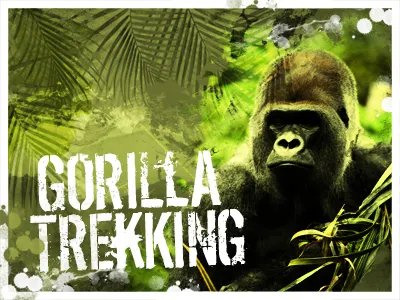 Gorilla