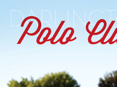 Darlington Polo Club lost type poster wisdom script