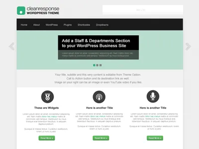 CleanResponse free wordpress theme