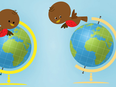 Robins birds education educational globe tim paul tim paul illustrations tim piotrowski