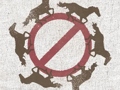 Don't Horse Around 30doc horse no texture