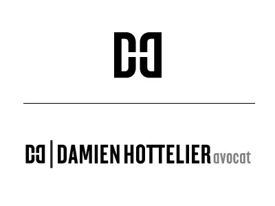 Damien Hottelier Logo Design logo design marks monogram portfolio