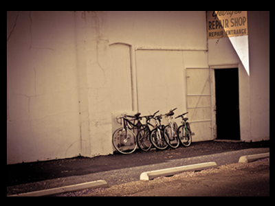 Photo Bike Shop bikes photo