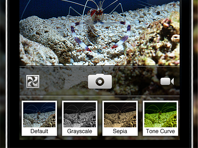 Camera Filters UI camera ios iphone photo ui