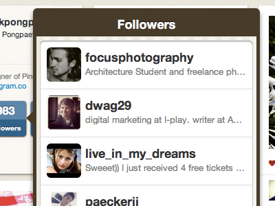 Followers Popup app brown css pinstagram
