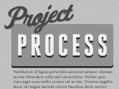 Project Process