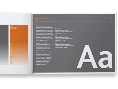 Acclaim Corporate Guidelines book brand branding font grey guidelines orange type typography