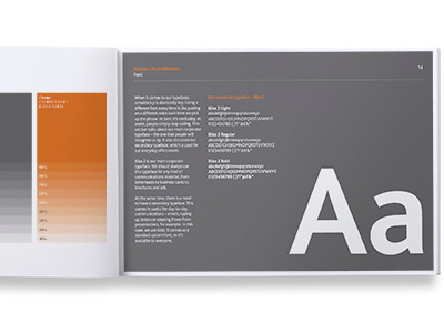 Acclaim Corporate Guidelines book brand branding font grey guidelines orange type typography