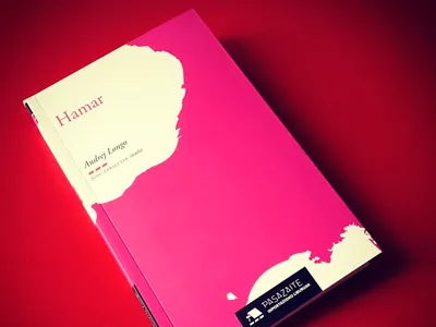 Pasazaite Books: a book example book cover editorial