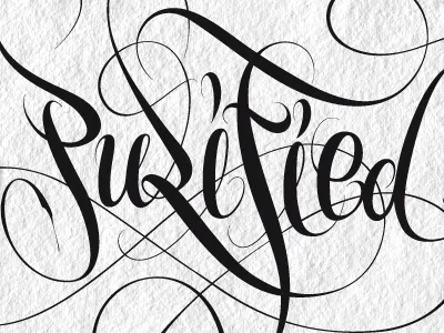 Calligraphy Purified art brush calligraphy iamdesign lettering purified type