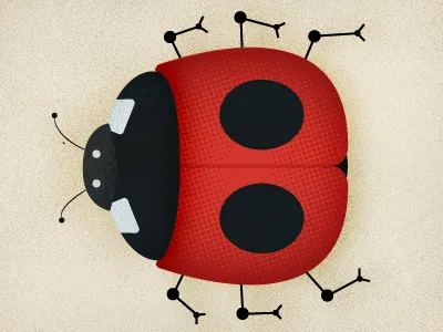 LadyBug alphabout b bug ladybug lettering typography