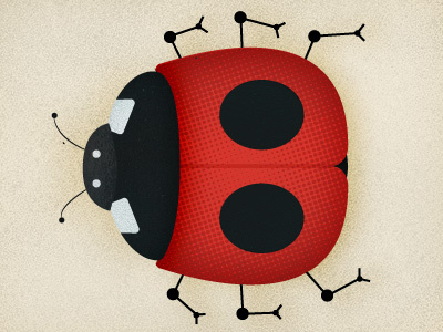 LadyBug alphabout b bug ladybug lettering typography