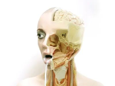 Nexus digital art photomanipulation