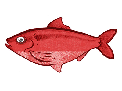 red herring