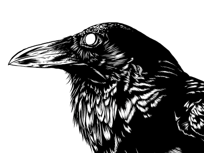 Crow WIP design drawing illustration