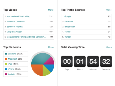 Dashboard Detail analytics brightcove dashboard video cloud web