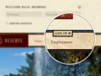 Log In Detail iron login marble slider