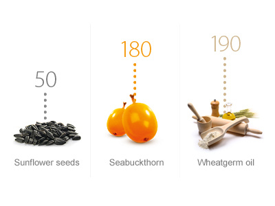 E vitamin infographics clean graph info points vitamin web