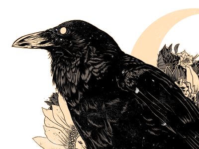 Crow - Final design drawing illustration