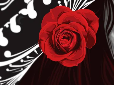 Rose Detail design detail illustrator rose vector