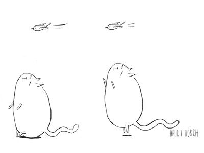 Stay Optimistic Fat Kitty cartoon cat fat cat illustration