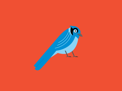 Bird bird bird blues blue blue bird