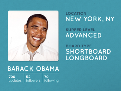Surfing Site - Profile Info info profile social surfing ui ux