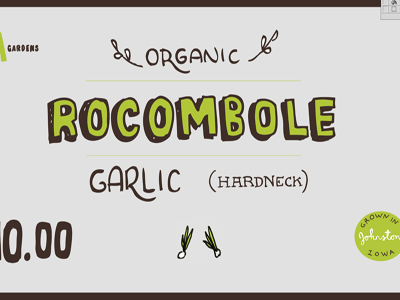Farmers Market signs farm food hand drawn lettering organic type
