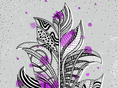 Feather Top hand drawn illustration