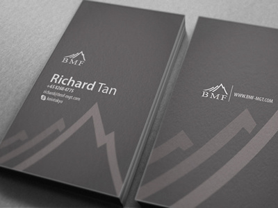 BMF Branding brand branding business card corporate identity grey card grey name card hill ice mountain logo mountain snow