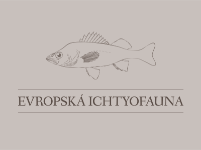 Ichtyofauna drawing europe fish vector