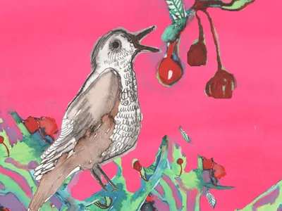 nightingale. bird illustration sweet cherry