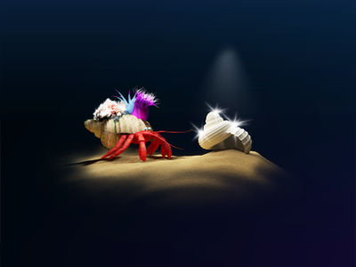 Hermitcrab 3d c4d cinema4d crab hermitcrab shell