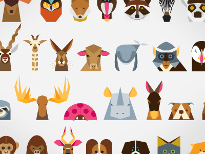 365 Illustrations 365 animals illustration minimalist vector