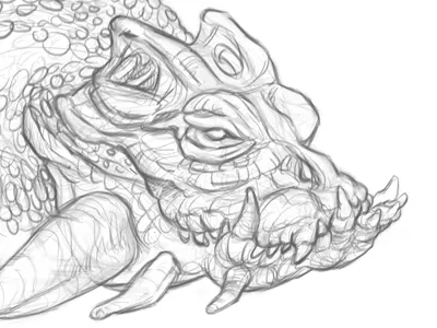 Working on the skull dragon marine monster ocean saltwater sea sea dragon sea monster