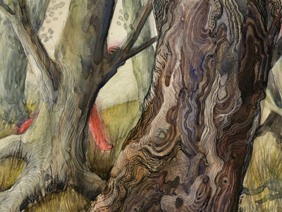 Some trees bark illustration line scratch board trees watercolor