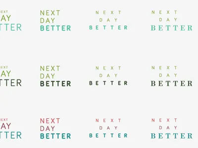 Logotype Color & Type Explorations color explorations logotype non profit typography