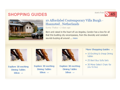 Shopping Guide Widget