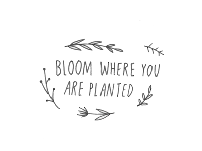 bloom where you are planted hand drawn illustration quote type