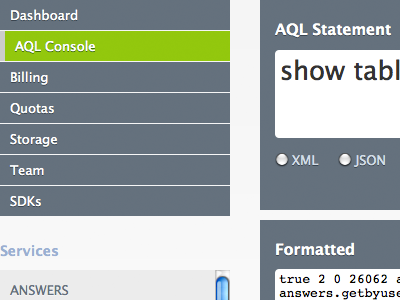 Appies Console api console ui web design