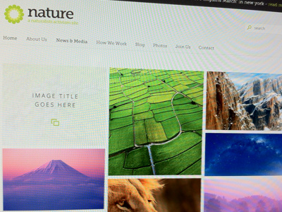 Nature10 activism green nature themeforest wordpress