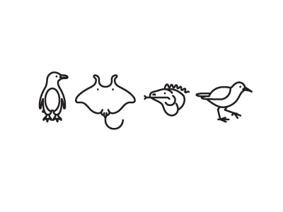 Endangered Aminals endangered animals icons iguana linework manta ray penguin sandpiper